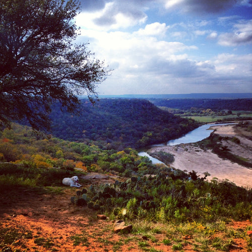 “Dog’s view of her Brazos” (FRAMED in Black Floater frame)