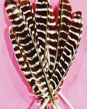 Load image into Gallery viewer, “Wild Turkey, Multi-Color/medium” (FRAMED in Black Floater frame)